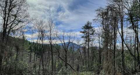 Lot 6 Hayes Trail Drive, Cashiers, NC 28717