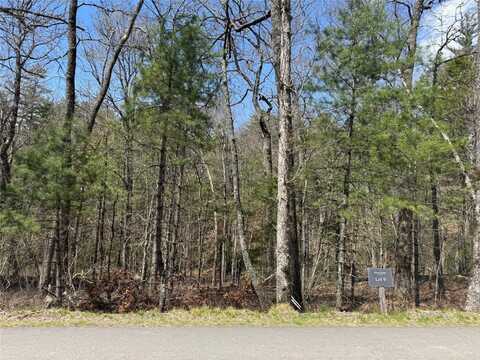9 Norton Road, Cashiers, NC 28717