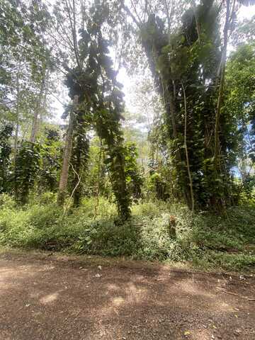 HILO RD, PAHOA, HI 96778