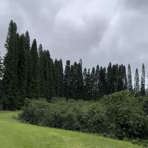 undefined, PAHALA, HI 96777