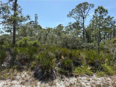 610 Burr Road, Lake Placid, FL 33852