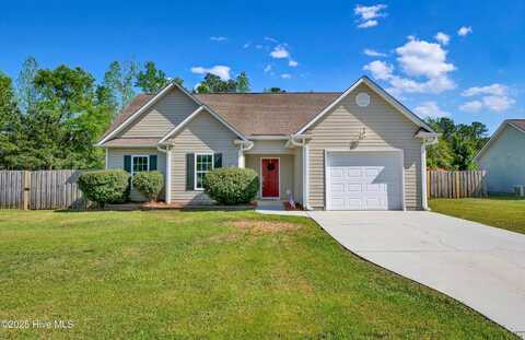 304 Big Tree Lane, Chinquapin, NC 28521