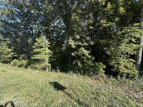 Hathburn Drive Off Drive, Rockwood, TN 37854