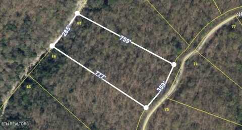 W Bobcat Lane, Wilder, TN 38589