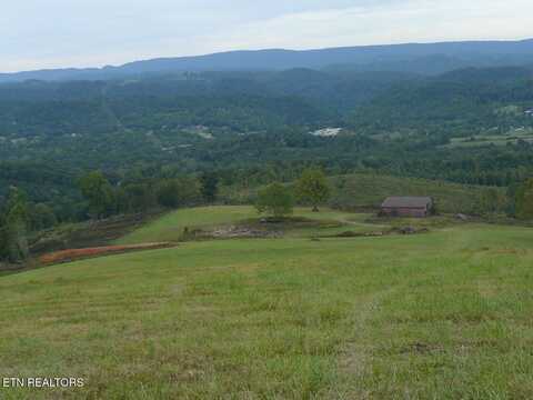132 Acres Leabow Hollow Rd, Tazewell, TN 37879