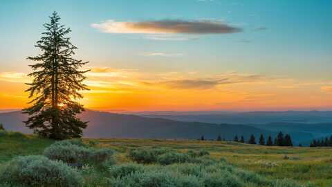 Fishhole Creek Road, Bly, OR 97622