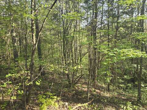 Bales Road Road, Knoxville, TN 37914