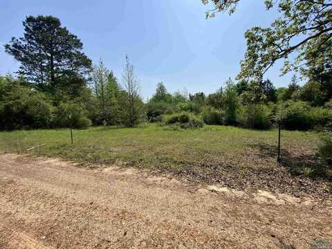 Tbd Flarity Road, Jefferson, TX 75657