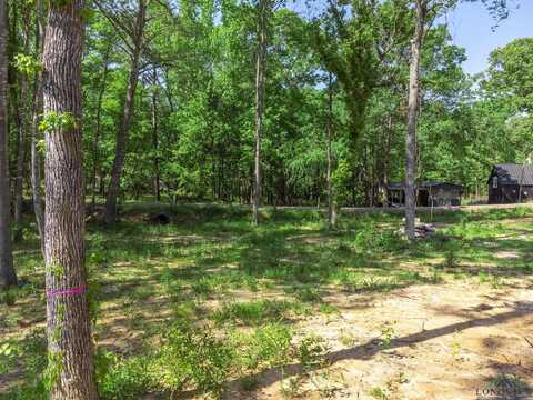 Tbd Cypresswood Trl, Gilmer, TX 75645
