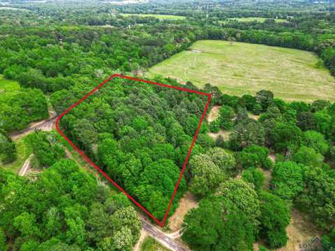 Tbd Giraffe Rd, Gilmer, TX 75644