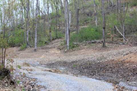 0 Routt Road, Wallingford, KY 41093
