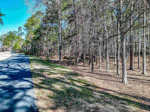 1040 CENTENNIAL POST, Greensboro, GA 30642