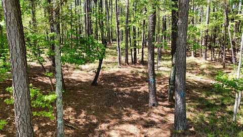 1171 CLUB COVE DRIVE, Greensboro, GA 30642