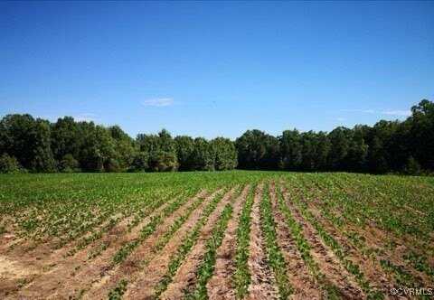 00 Patrick Henry Hwy, Jetersville, VA 23038