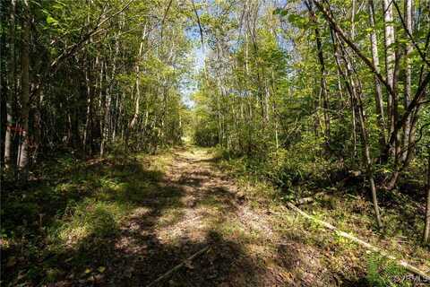 0 Beaver Dam Rd, Beaverdam, VA 23015