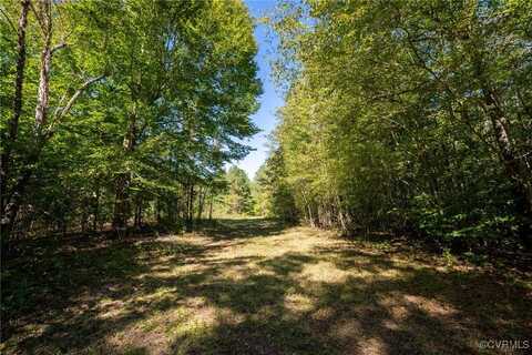00 Beaver Dam Rd, Beaverdam, VA 23015