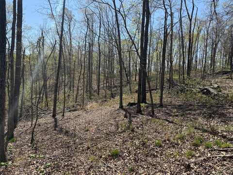 0 Bcr 300, Marble Hill, MO 63764
