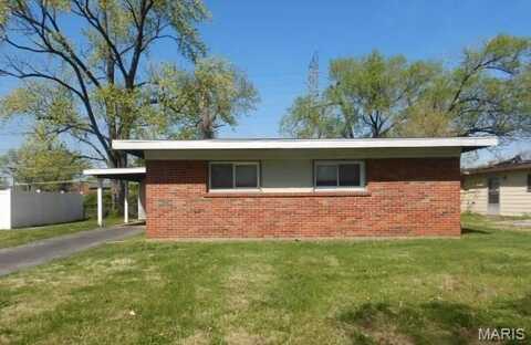6701 Alder Avenue, Saint Louis, MO 63134