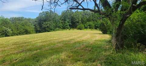 6890 Highway 185, Beaufort, MO 63013