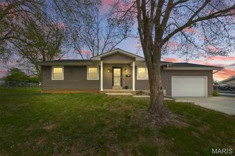 214 Kuhne Boulevard, Troy, MO 63379