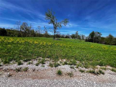 1009 Legacy Lane, Perryville, MO 63775