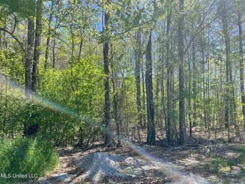 108 Holly Bush Road, Brandon, MS 39047