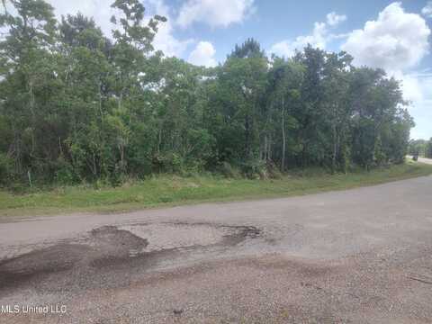 11474 Bayou View Drive, Bay Saint Louis, MS 39520