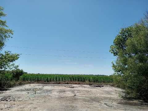 188 Richardson Road, Hollandale, MS 38748