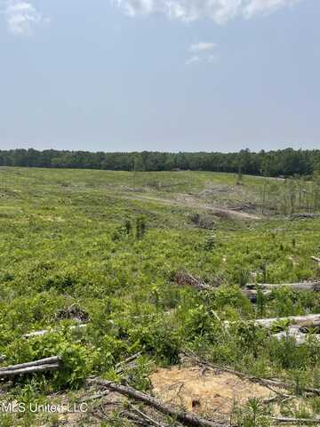 Hendrix/Pine Grove Road, Coffeeville, MS 38922