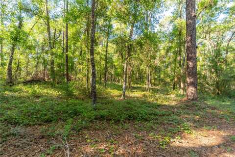 5282 S ROBERT BLAKE AVENUE, INVERNESS, FL 34452