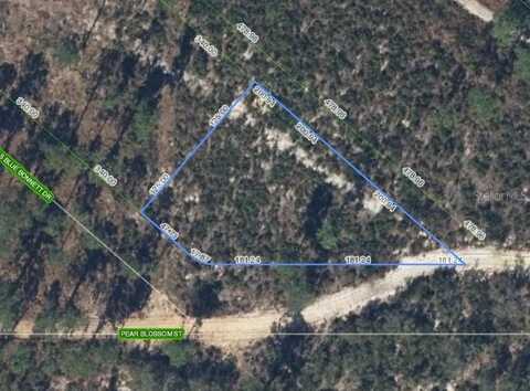 6115 PEAR BLOSSOM STREET, SEBRING, FL 33876