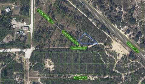 6115 PEAR BLOSSOM STREET, SEBRING, FL 33876