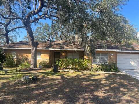 403 W BOUGAINVILLEA AVENUE, TAMPA, FL 33612
