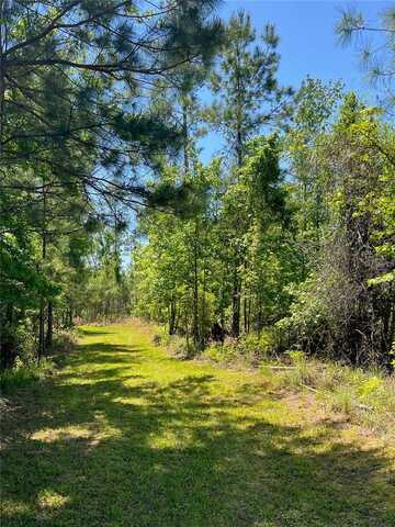 000 SW 9TH TERRACE, OTTER CREEK, FL 32683