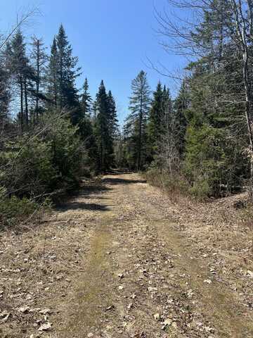 14-4 Hemlock Drive, Hudson, ME 04449