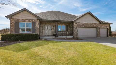 16317 W Shetland Court, Manhattan, IL 60442