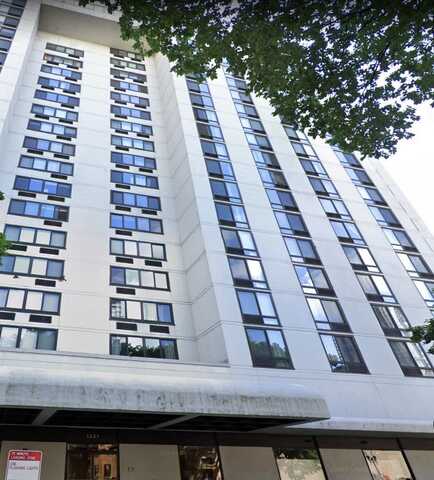 1221 N Dearborn Street, Chicago, IL 60610