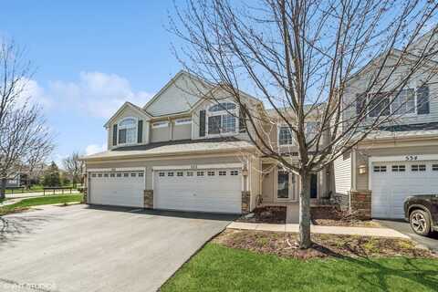 532 Gunnison Court, Gilberts, IL 60136