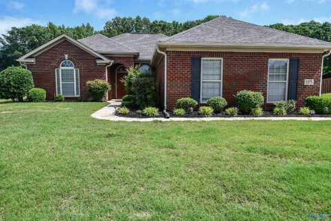 115 Sage Willow Drive SW, Madison, AL 35756