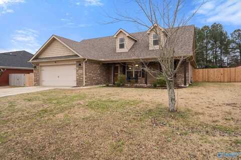 208 Hope Ridge Drive, New Hope, AL 35760