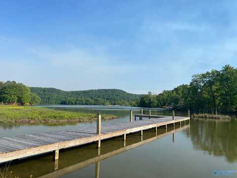 Lot 18 County Road 243, Cedar Bluff, AL 35959