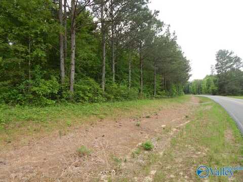 20 Acres Pleasant Country Road, Falkville, AL 35622