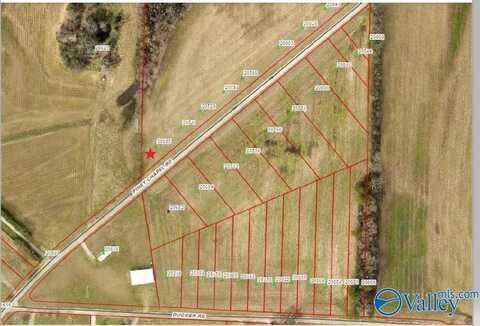 20685 Piney Chapel Road, Athens, AL 35614