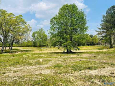 9 Acres Sardis Drive, Boaz, AL 35956