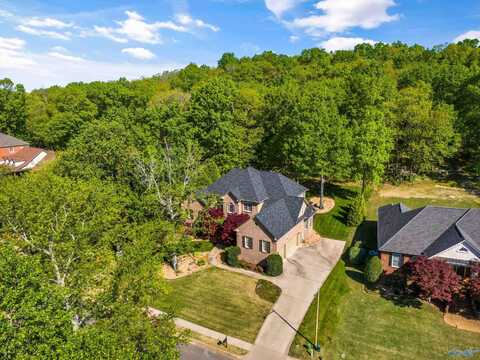 109 Highland Ridge Drive, Madison, AL 35757