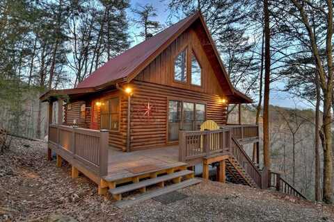 355 Cohutta Mountain Road, Cherry Log, GA 30522