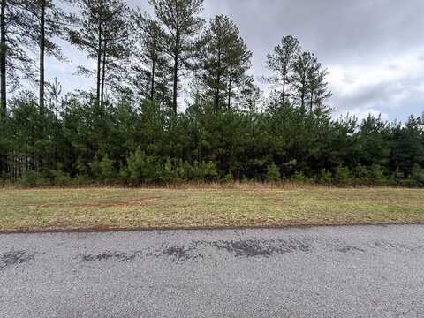 Lot 228 The Cove @ 1300, Blairsville, GA 30512