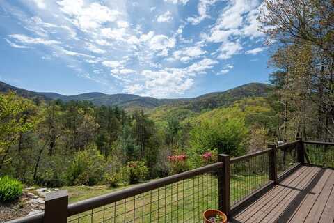 306 Pig Trail, Cherry Log, GA 30522