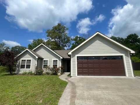 110 Lindsey Lane, Blue Ridge, GA 30513
