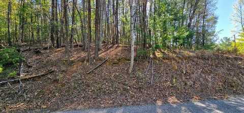 P12 Goldmine Drive, Ellijay, GA 30536